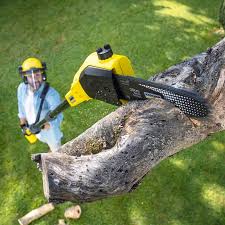 Wright City, MO Tree Removal and Landscaping Services Company